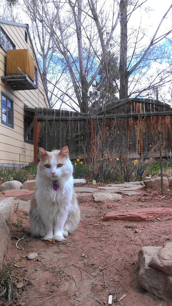 /Images/uploads/Humane Society of Utah/HSUCalendar/entries/1173thumb.jpg